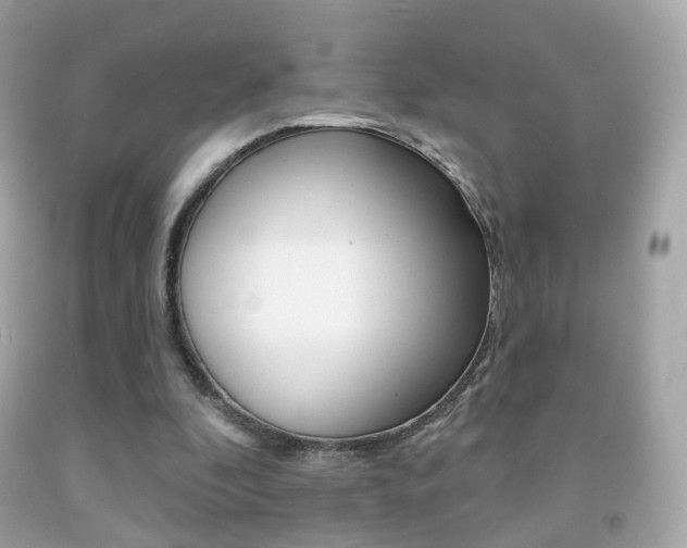 X0000091850296200709050941