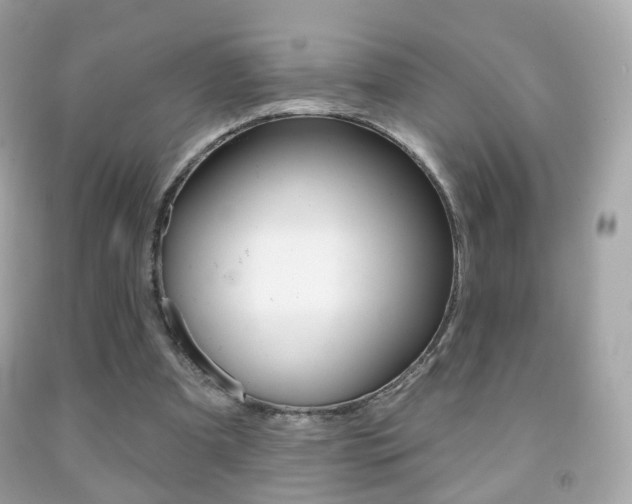 X0000091850297200709050941
