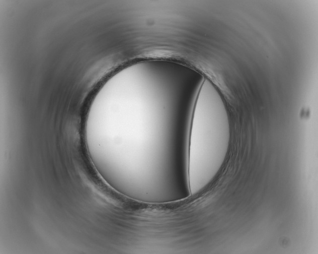 X0000091850300200709050941