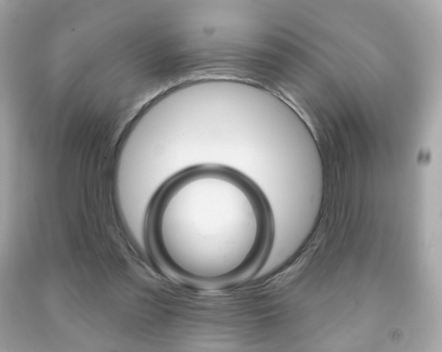 X0000091850301200709050941