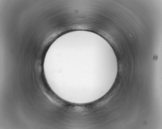 X0000091850302200709050941