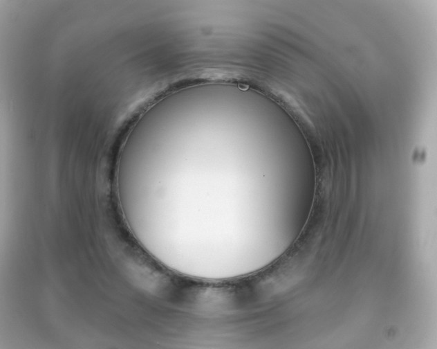 X0000091850303200709050941
