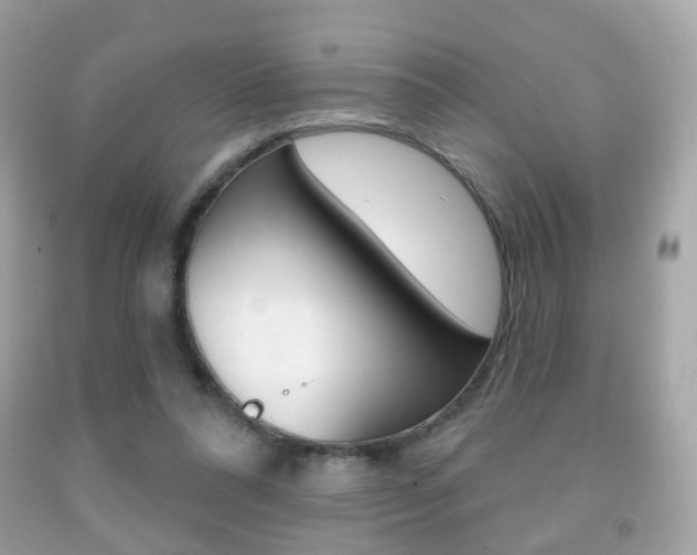 X0000091850304200709050941