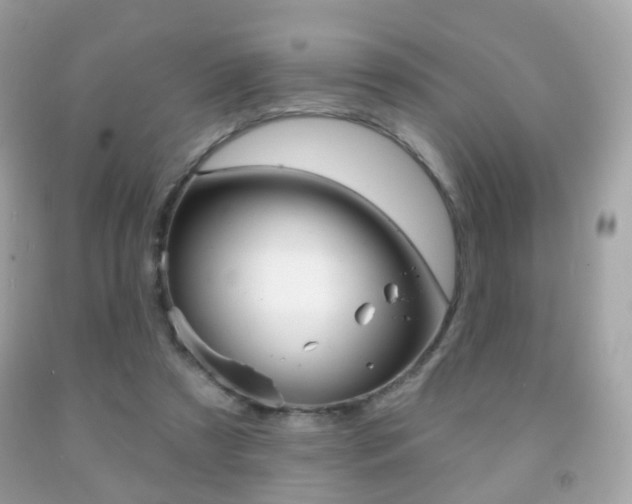 X0000091850305200709050941