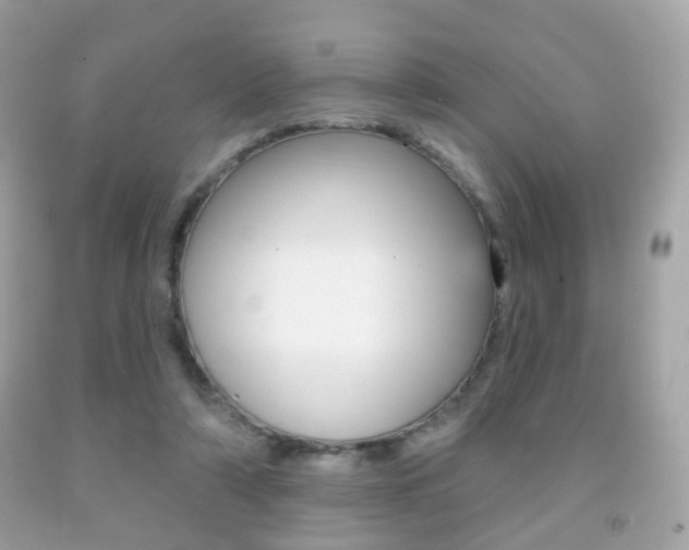 X0000091850306200709050941