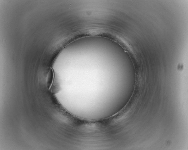 X0000091850307200709050941