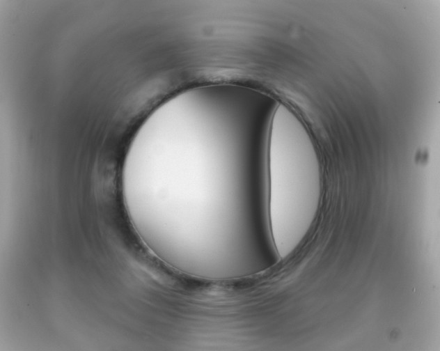 X0000091850308200709050941