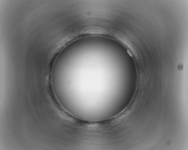 X0000091850309200709050941