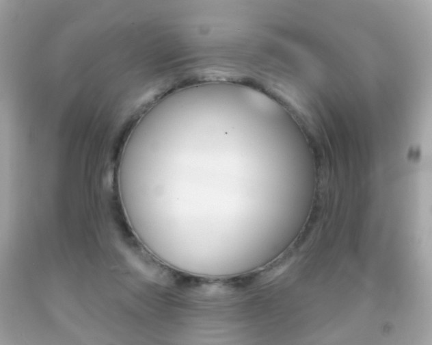 X0000091850310200709050941