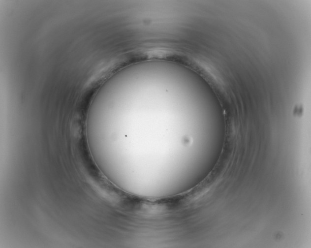 X0000091850311200709050941
