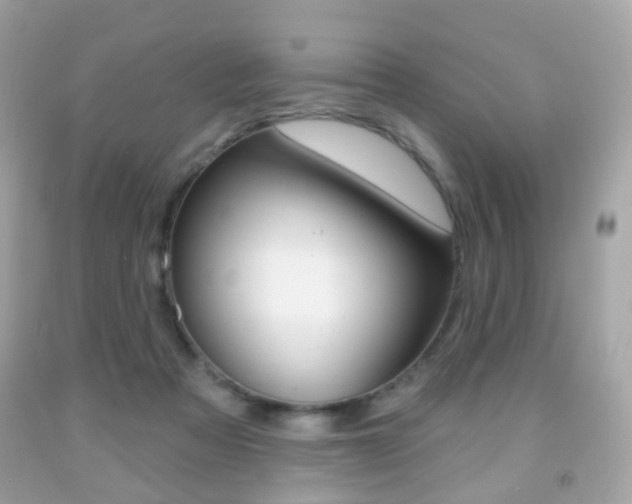 X0000091850313200709050941