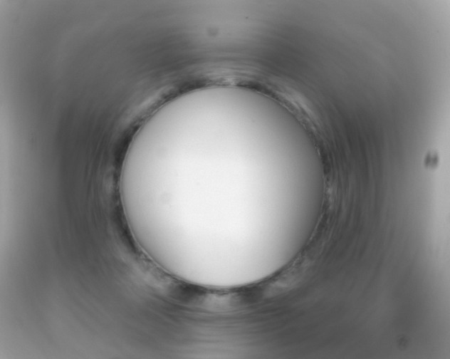 X0000091850314200709050941