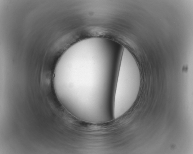 X0000091850315200709050941