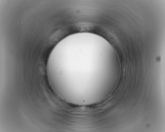 X0000091850316200709050941