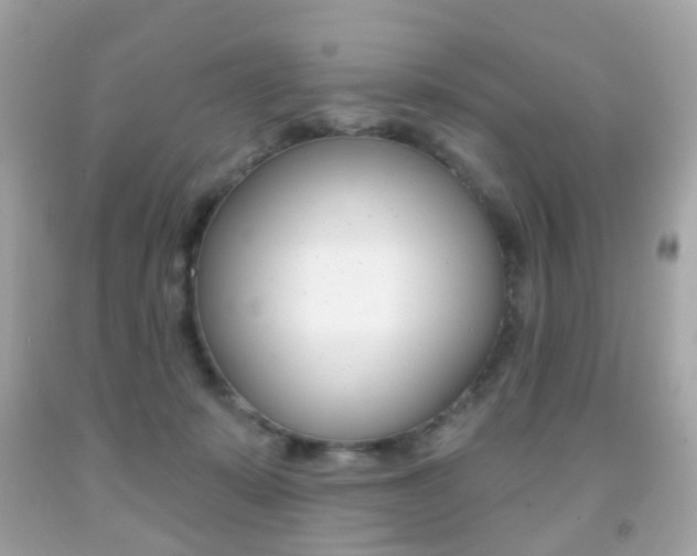 X0000091850319200709050941