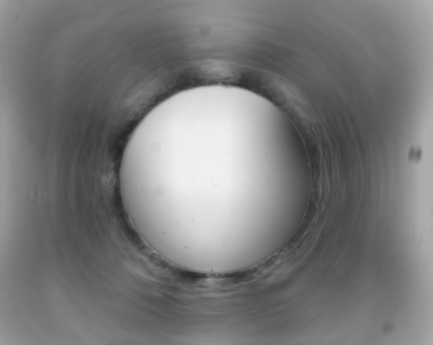 X0000091850320200709050941