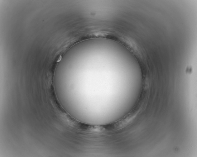 X0000091850321200709050941