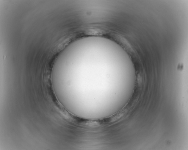 X0000091850322200709050941
