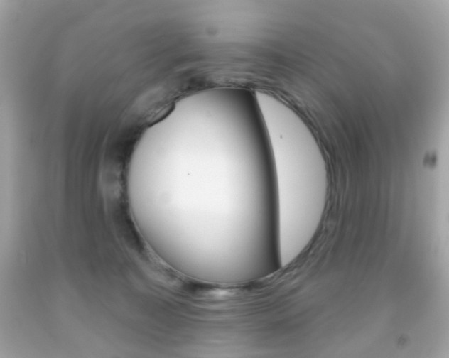 X0000091850323200709050941