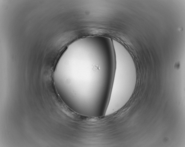X0000091850325200709050941