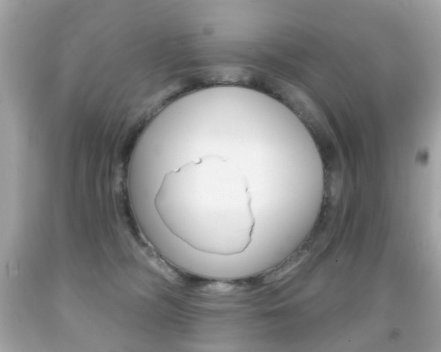 X0000091850326200709050941