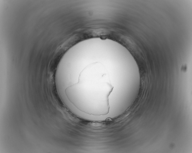 X0000091850327200709050941