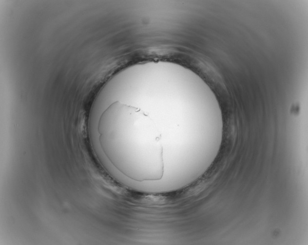 X0000091850328200709050941