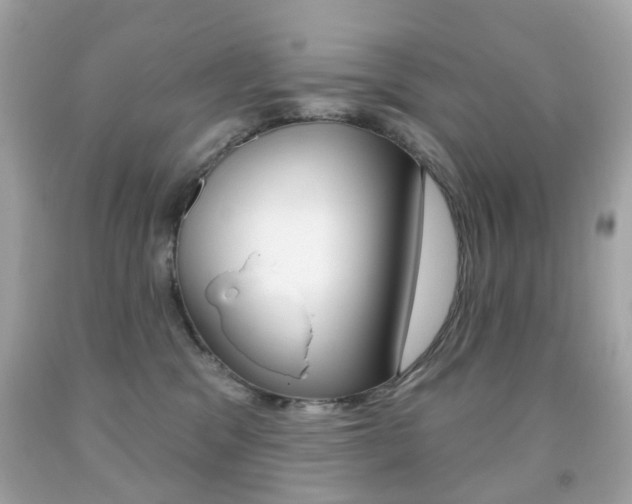 X0000091850329200709050941