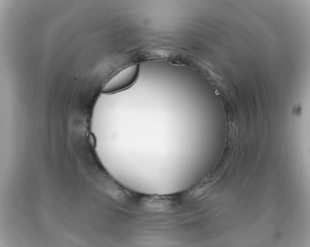 X0000091850331200709050941