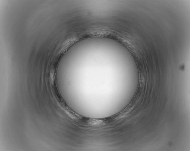 X0000091850334200709050940