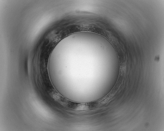 X0000091850335200709050940