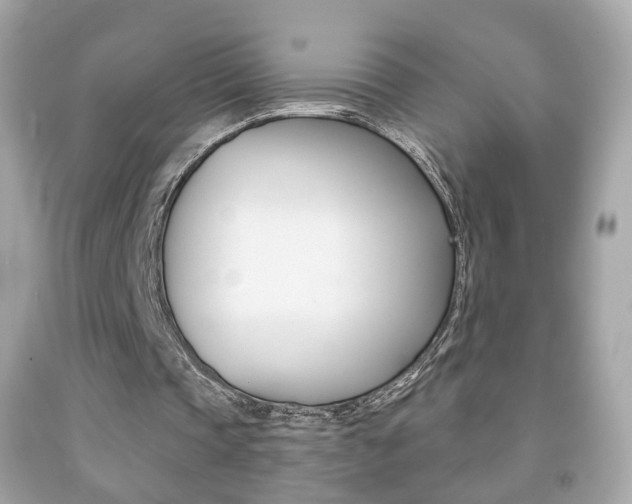 X0000091850337200709050940