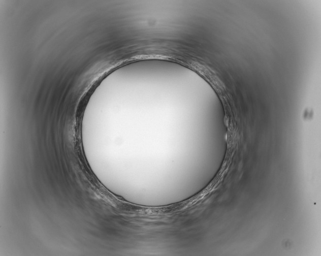 X0000091850338200709050940