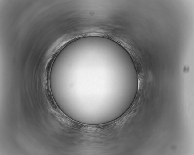X0000091850339200709050940