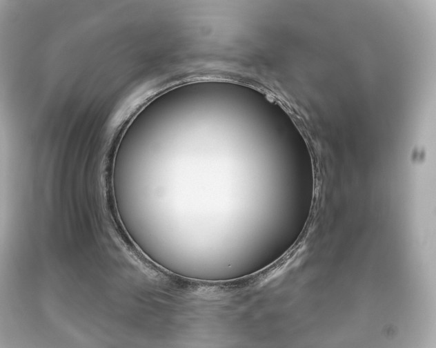 X0000091850341200709050940