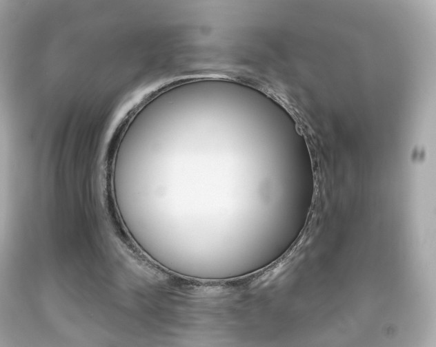 X0000091850342200709050940