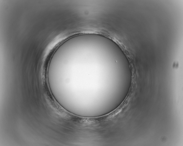 X0000091850343200709050940