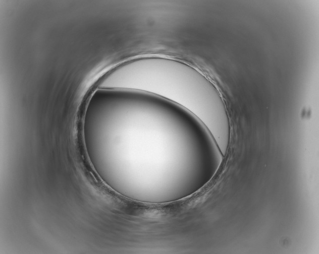 X0000091850344200709050940