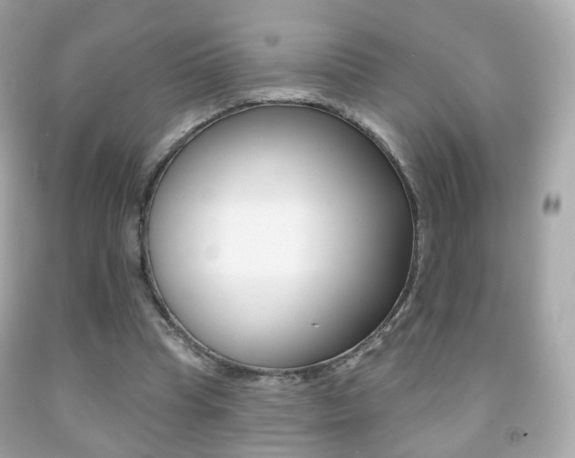 X0000091850345200709050940