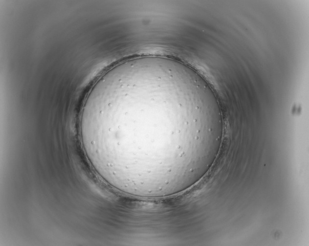 X0000091850347200709050940
