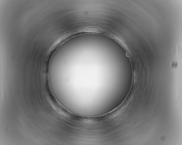X0000091850349200709050940