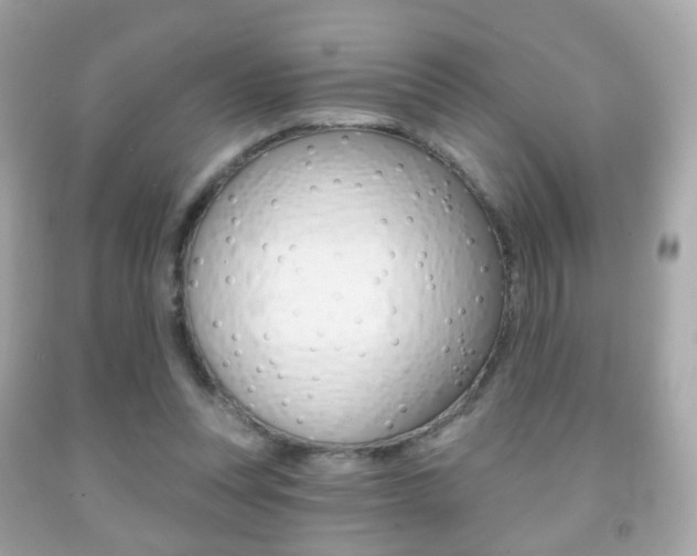 X0000091850351200709050940