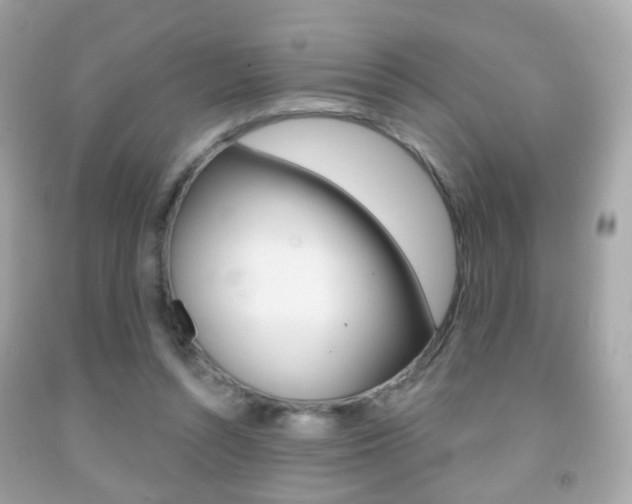 X0000091850352200709050940