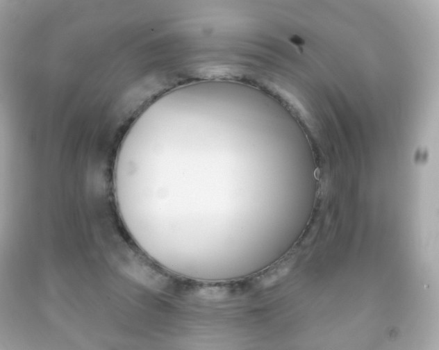 X0000091850353200709050940