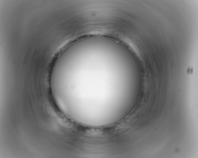 X0000091850354200709050940