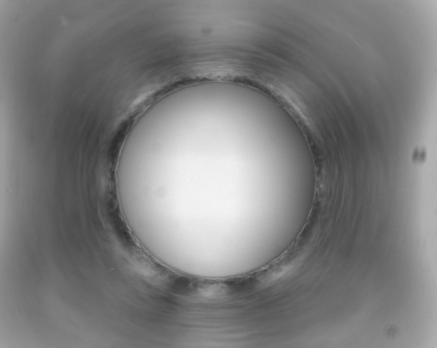 X0000091850355200709050940