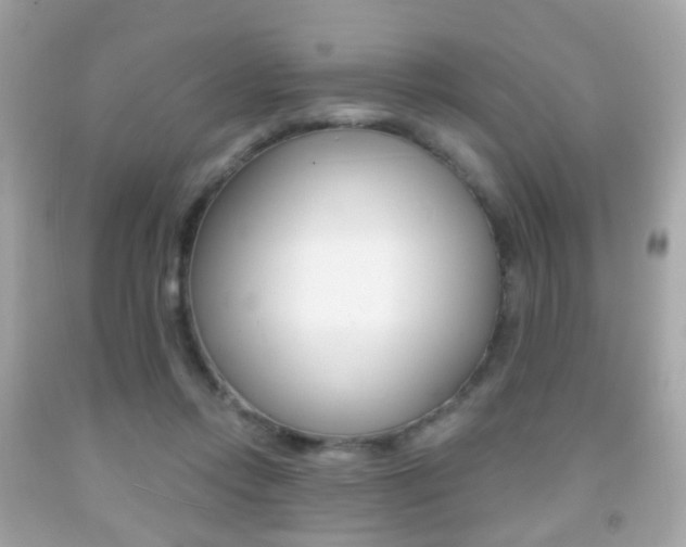 X0000091850358200709050940