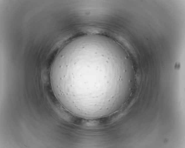 X0000091850359200709050940