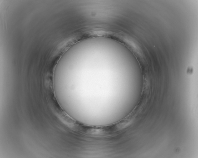 X0000091850361200709050940
