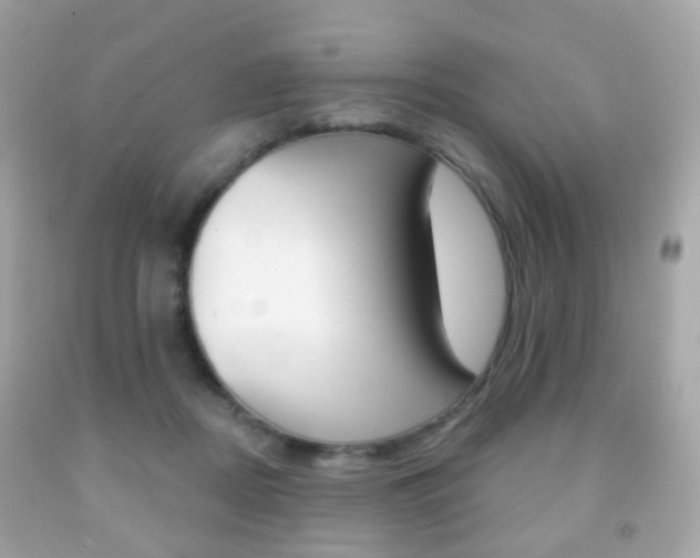X0000091850362200709050940